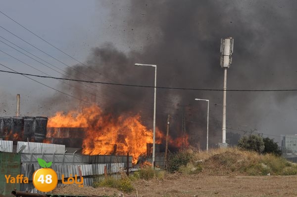 fireludkartoonmasna34 (26).JPG